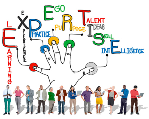 Team discussing project expertise